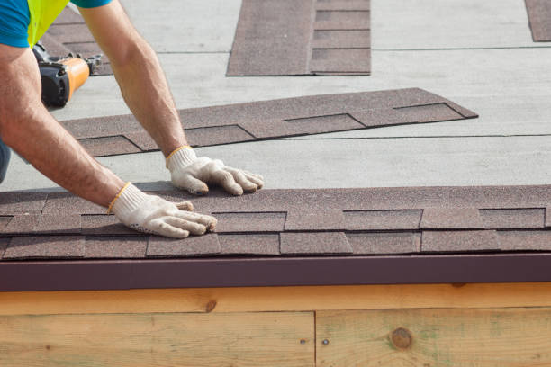 Best Roof Maintenance and Cleaning  in Archer Lodge, NC